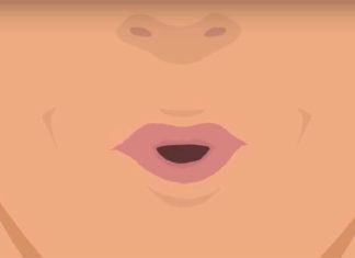 The Beginner’s Guide to Whistling: Mastering the Art with Easy Steps