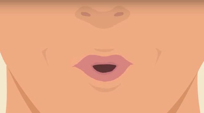 The Beginner’s Guide to Whistling: Mastering the Art with Easy Steps