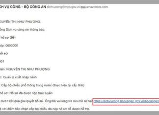 The Ultimate Guide to Online Passport Records Search