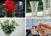 The Art of Arranging Roses: A Simple Guide to Creating Stunning, Tall Rose Arrangements