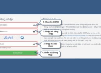 The Ultimate Guide to University Application and Enrollment: 2022 Edition
