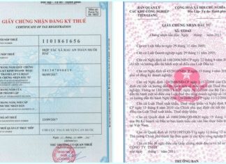 The Art of Business Hibernation: Mastering the Strategic Pause in 2022