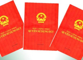 The Ultimate Guide to Navigating the Forest Land Transfer Process