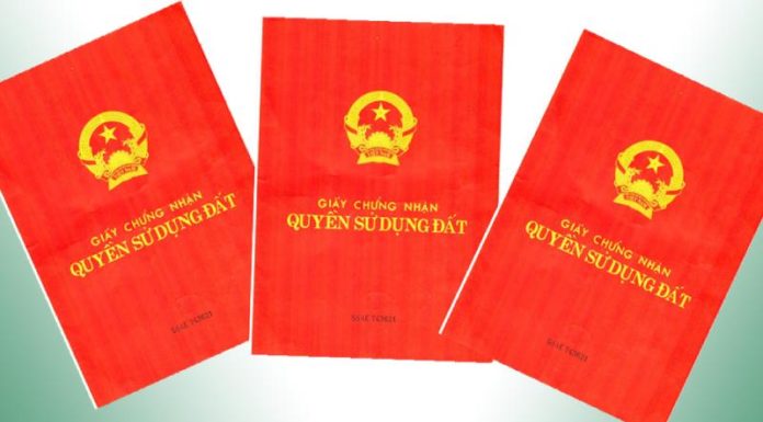 The Ultimate Guide to Navigating the Forest Land Transfer Process