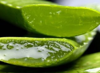 The Miraculous Aloe Vera: A Safe and Scar-Free Treatment for Ringworm