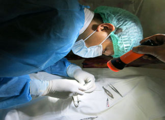 The Ultimate Guide to Registering for Whole Body and Organ Donation: Your Legacy, Their Future