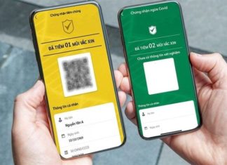 A Step-by-Step Guide to Checking Your COVID-19 Green or Yellow Card Status Efficiently and Accurately