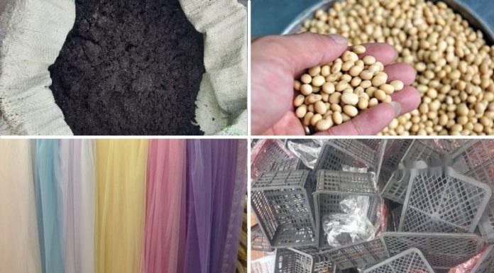 A Simple Guide to Sprouting Soybeans at Home