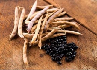 The Ultimate Super Seed: Unlocking Nature’s Power with a Potassium Punch