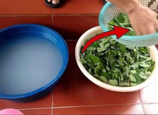 How to Prepare Water Spinach Soup: To Wring or Not to Wring?