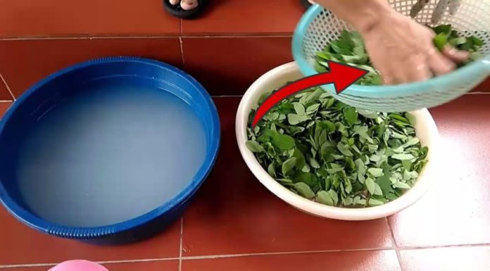 How to Prepare Water Spinach Soup: To Wring or Not to Wring?