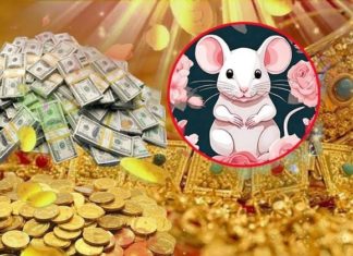 The Fortune Favors the Brave: Unlocking Prosperity in 33 Days