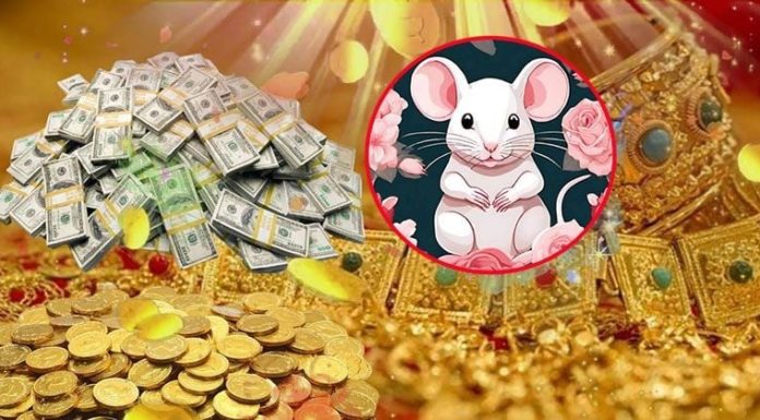 The Fortune Favors the Brave: Unlocking Prosperity in 33 Days