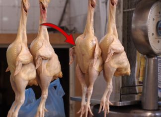 The Ultimate Guide to Pork: A Delicious, Nutritious, and Affordable Alternative to Beef