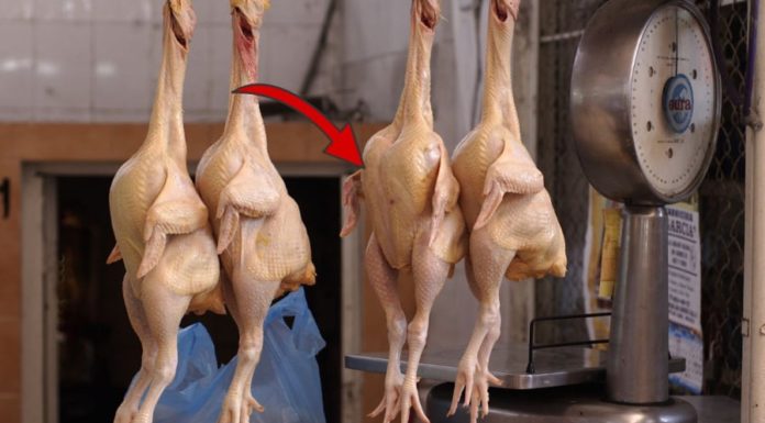 The Ultimate Guide to Pork: A Delicious, Nutritious, and Affordable Alternative to Beef