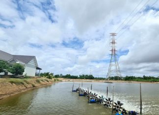 Unveiling the Top 3 Long Phu (Soc Trang) Tourist Attractions