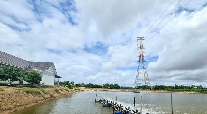 Unveiling the Top 3 Long Phu (Soc Trang) Tourist Attractions