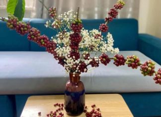 Unveiling the Super-HOT Fruit-Stalking Trend: A Craze Among Women