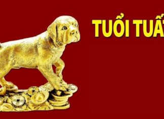 Discover the Lucky Plants for Dog Zodiac Sign