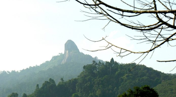 Unveiling the Sacred, Majestic Beauty of Mount Lu Bu, Bao Loc