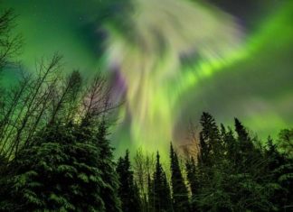 Unveiling the Significance of Green in Life and Love