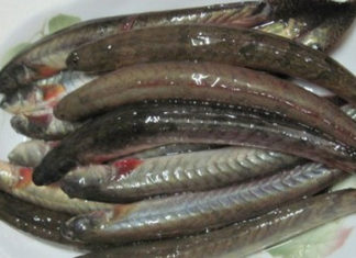 Do You Need to Gut Kèo Fish Before Cooking?