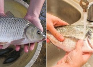 The Secret to Odorless, Tender Braised Fish: A Guide to Delicious Results, Whether You’re Cooking Sea or Freshwater Catch