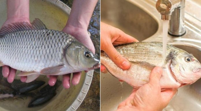 The Secret to Odorless, Tender Braised Fish: A Guide to Delicious Results, Whether You’re Cooking Sea or Freshwater Catch