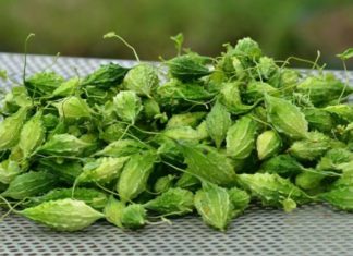 Bitter Melon: Unlocking Its Medicinal Power and Understanding Potential Risks