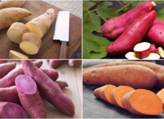 Sweet Potatoes vs. Potatoes: Which Is the Healthier Choice?