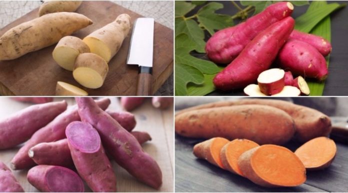 Sweet Potatoes vs. Potatoes: Which Is the Healthier Choice?
