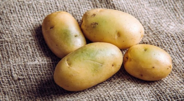 Can You Eat Green Potatoes?