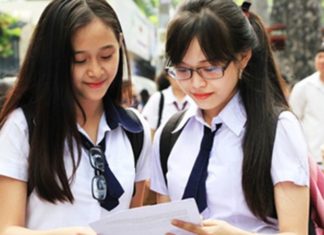 What Are the Subjects in Block D? Universities and Colleges in Block D