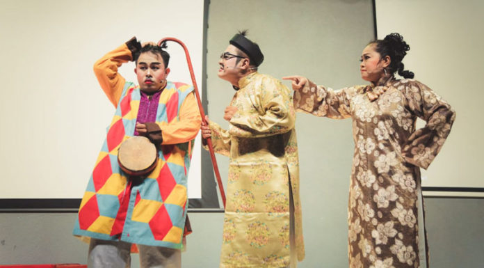 What Subjects Are Included in Cluster S? Universities and Fields of Study in Cluster S