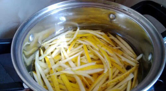 Lose Weight and Burn Belly Fat with These 4 Simple Grapefruit Peel Methods