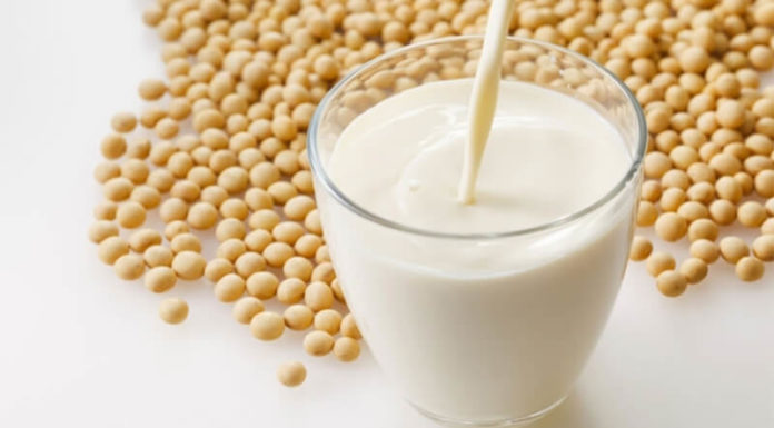 The Ultimate Kitchen Multitasker: Your New Nut Milk Maker