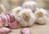 “Garlic: The Secret Ingredient or a Health Hazard? Unpeeling the Truth.”