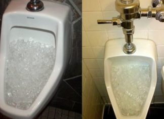 “A Fresh Approach to Odor Removal: Say Goodbye to Air Fresheners”