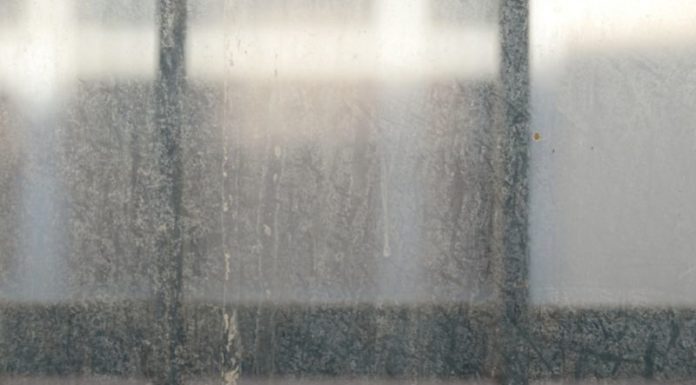 The Magic Touch: 3 Tips to Make Your Windows Sparkling Clean