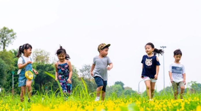 What Should Your Child Play, Do, and Learn During the Summer Holidays?