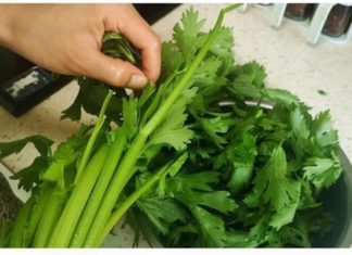 The Ultimate Green Warrior: Unveiling the Power of this K-Slaying Vegetable