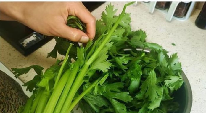 The Ultimate Green Warrior: Unveiling the Power of this K-Slaying Vegetable
