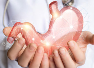 Can You Eat Oregano Leaves Raw?