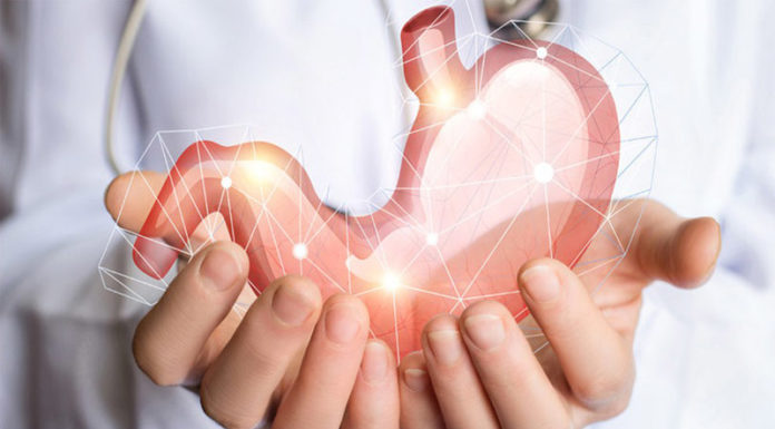 Can You Eat Oregano Leaves Raw?