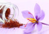 The Beauty of Saffron’s Divine Stigma