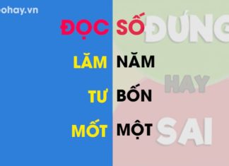 Mastering the Art of Numeracy: Navigating the Nuances of Vietnamese Numerals