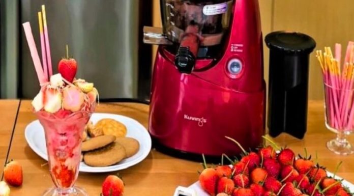 “The Great Slow Juicer vs Blender Debate: Which is the Ultimate Tool for Making Ice Cream?”