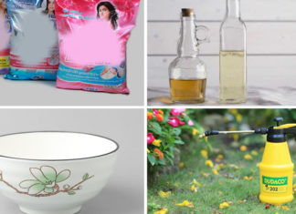 The Magic Duo for Household Cleaning: Laundry Detergent and White Vinegar