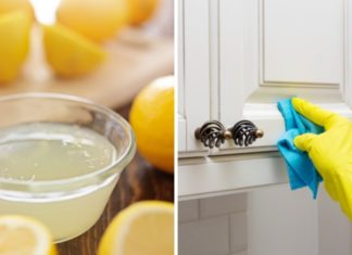 The Dynamic Duo of ‘Lemon and Ginger’: Freshening and Cleaning Your Home