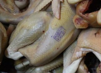 How to Spot Chicken Injected with Chemicals